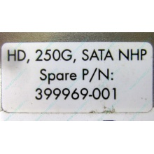 HP 250G 7.2k 432337-001/ 399699-001 / 397377-004 SATA HDD (Перово)