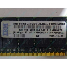 IBM 73P2871 73P2867 2Gb (2048Mb) DDR2 ECC Reg memory (Перово)