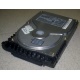 Жесткий диск 18.4Gb Quantum Atlas 10K III U160 SCSI (Перово)
