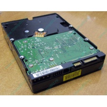 Б/У жёсткий диск 400Gb WD WD4000YR Caviar RE2 7200 rpm SATA  (Перово)