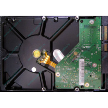 Б/У жёсткий диск 1Tb Western Digital WD10EVVS Green (WD AV-GP 1000 GB) 5400 rpm SATA (Перово)