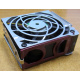 HP 224977 (224978-001) for Proliant ML370 G2/G3/G4 (Перово).