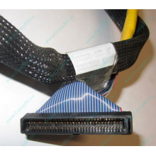 Кабель SCSI HP 166298-037 для HP ML370 G4 (Перово)