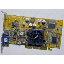 Видеокарта Asus V8170 64Mb nVidia GeForce4 MX440 AGP Asus V8170DDR (Перово)