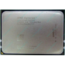 AMD Opteron 6128 OS6128WKT8EGO (Перово)