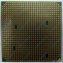 Процессор AMD Athlon 64300+ (1.8GHz) ADA3000IAA4CN s.AM2 (Перово)